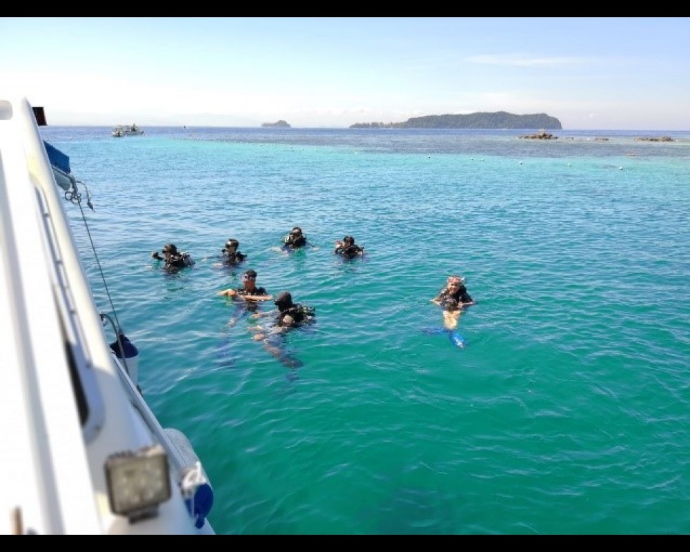 Diving at Tunku Marine Park